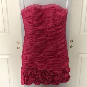 Hannah S pink homecoming/prom dress